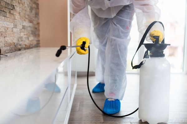 cockroach spraying perth