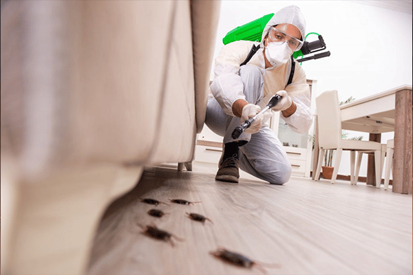 pest control perth wa