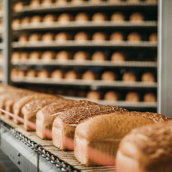 food manufacturing pest control