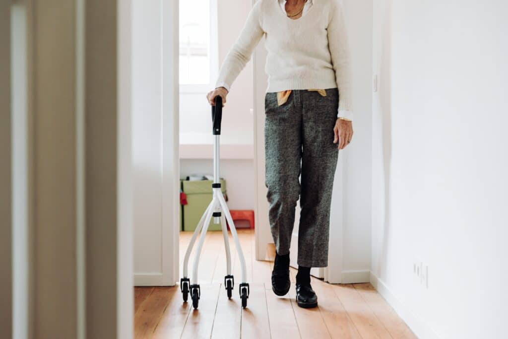 Aged Care Pest Control Perth