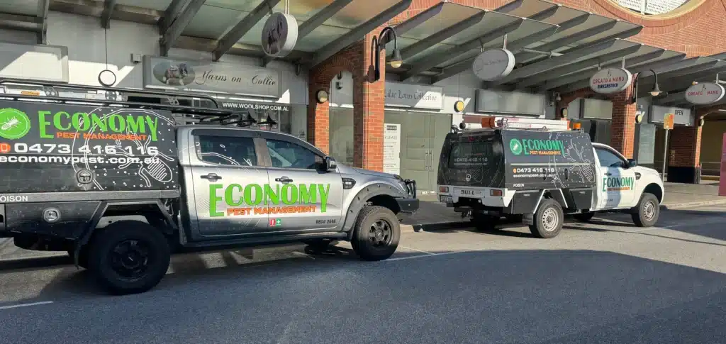 Economy Pest Management Commercial Pest Control