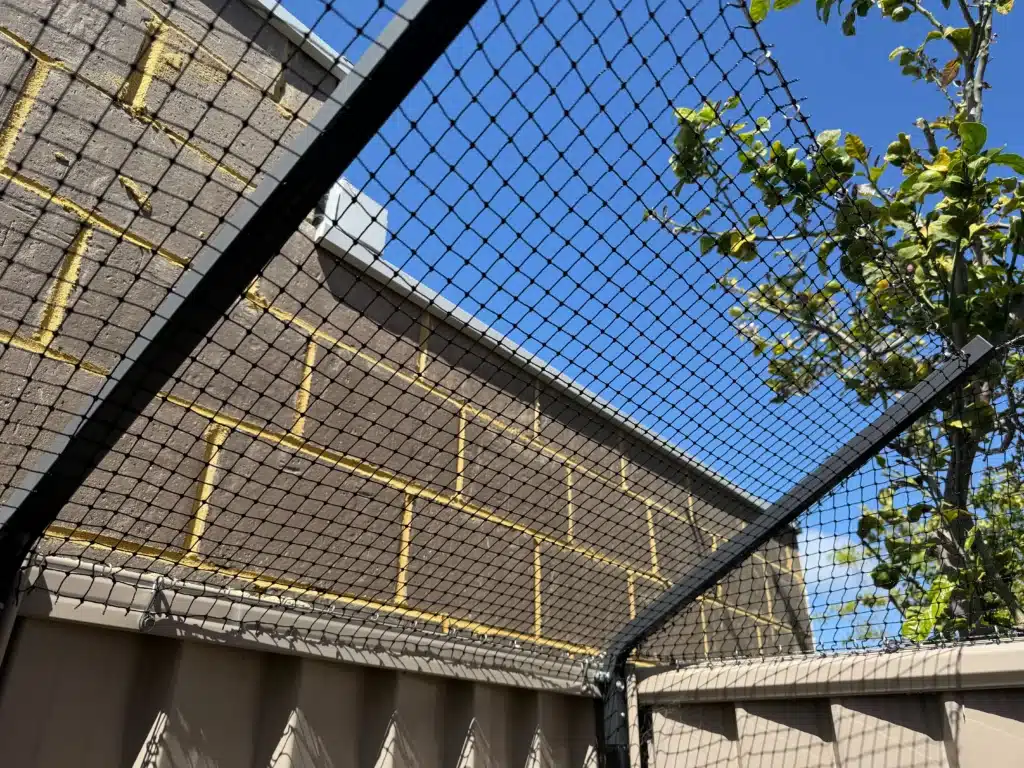 Bird netting Perth