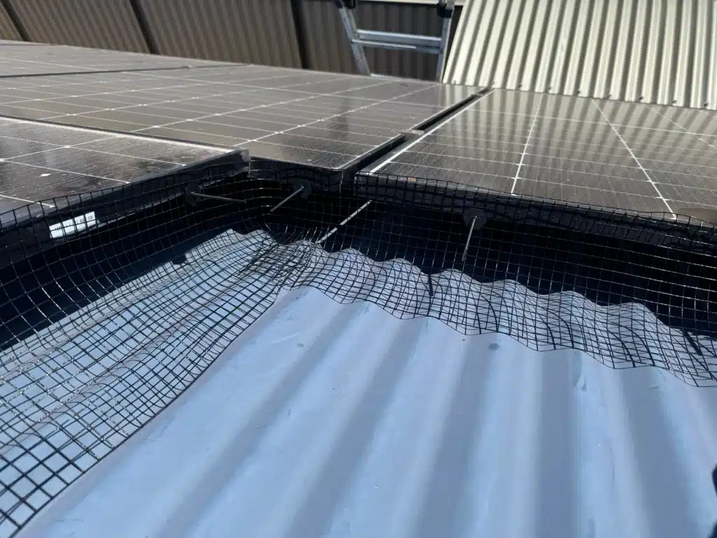 Solar panel bird proofing Perth