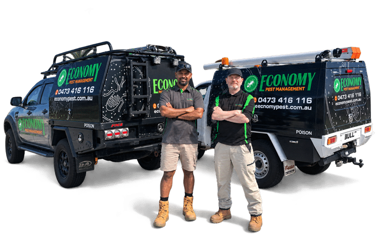 Economy Pest Management Team Vehicles