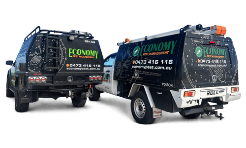 economy pest vans