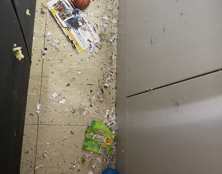 Rat Removal Perth