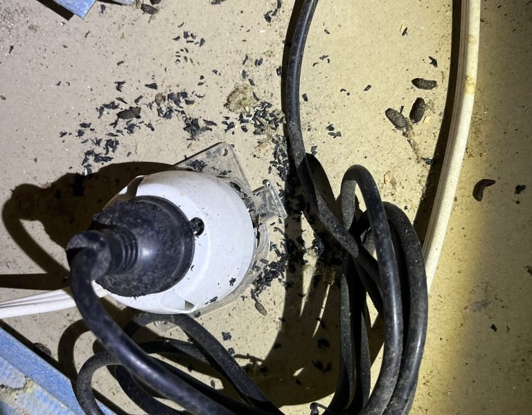 Rat Removal Perth