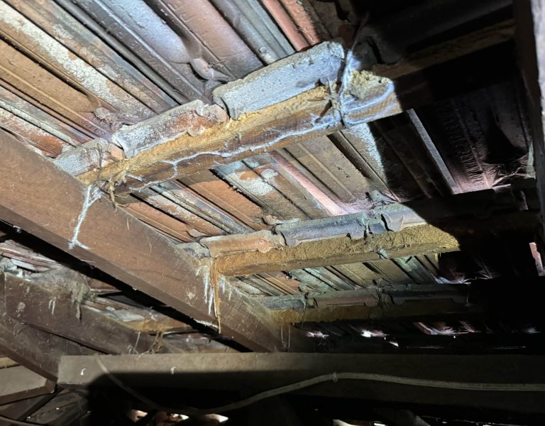 Spidr webbs to tile battens